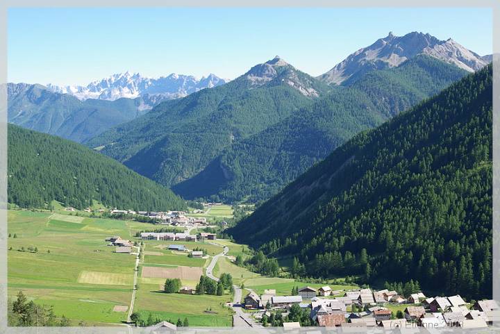 IMGP9613