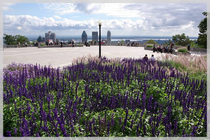 Quebec_052