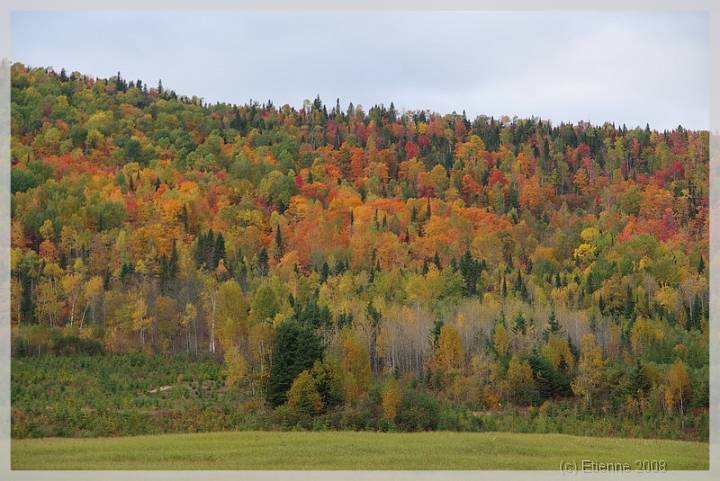 Quebec_545