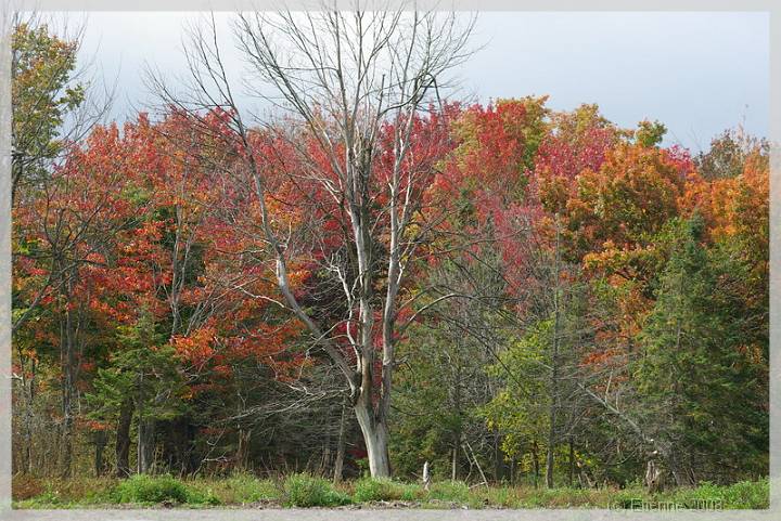 Quebec_569