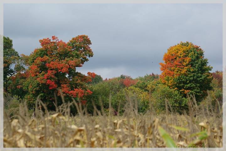 Quebec_570