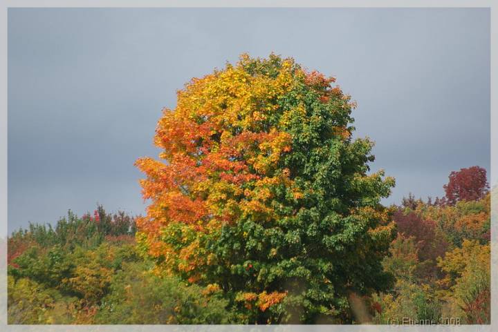 Quebec_571