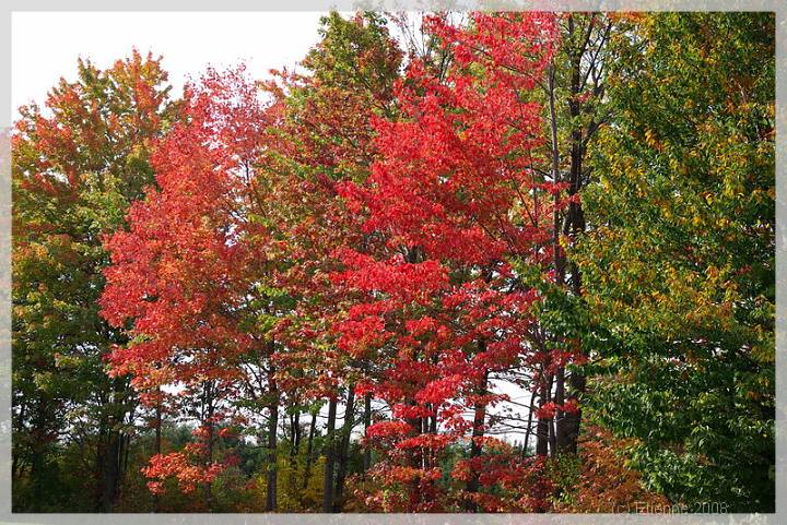 Quebec_572