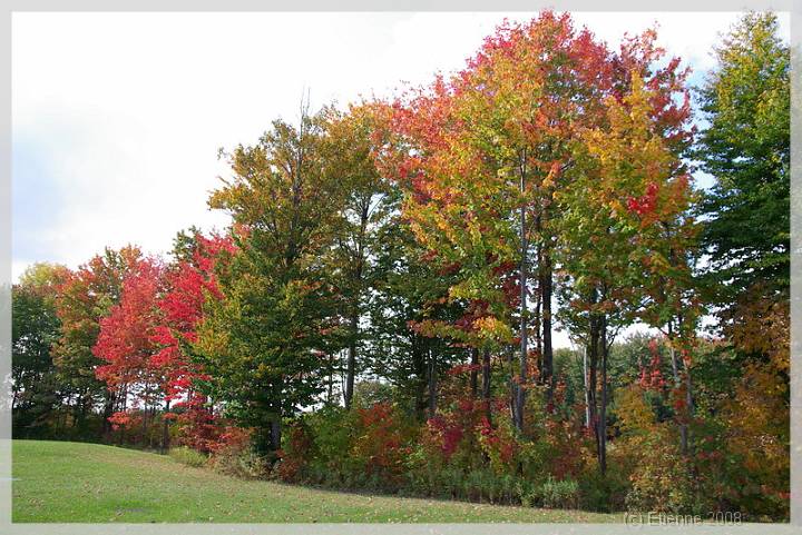 Quebec_573