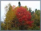 Quebec_535