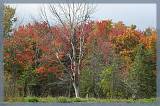 Quebec_569