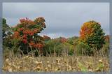 Quebec_570