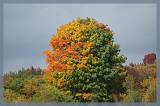 Quebec_571