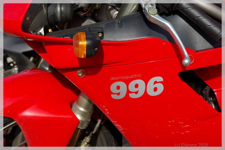 IMGP6913